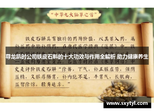 尊龙凯时公司铁皮石斛的十大功效与作用全解析 助力健康养生