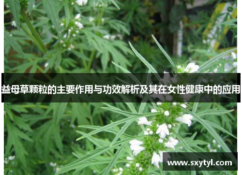 益母草颗粒的主要作用与功效解析及其在女性健康中的应用