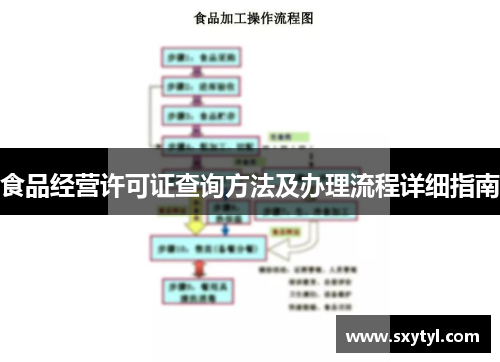 食品经营许可证查询方法及办理流程详细指南